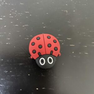 Ladybug Magnet - a cute ladybug on a magnet. #Ladybug