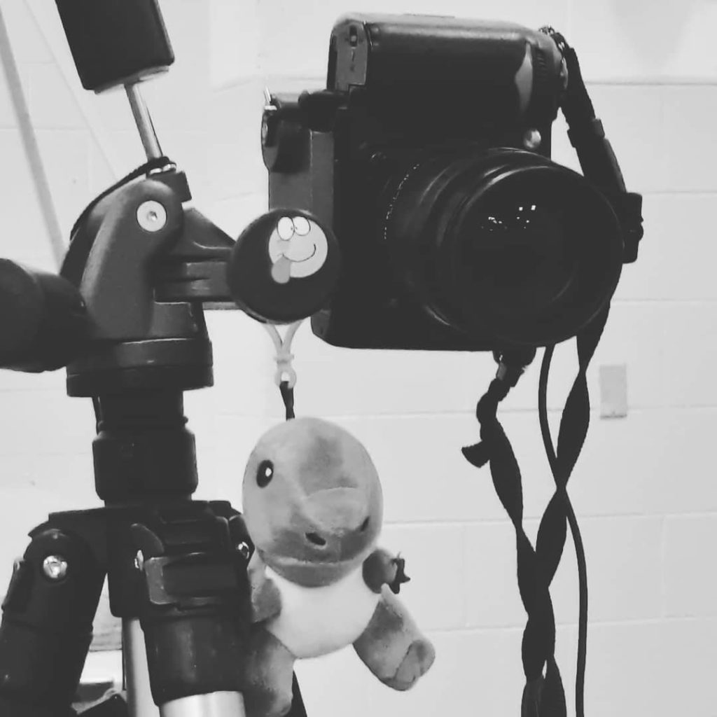 Meet Van the T-Rex - Van is the one you see doing all kinds of adventures with a face mask. He gets really creative in using a face mask in another ways. 