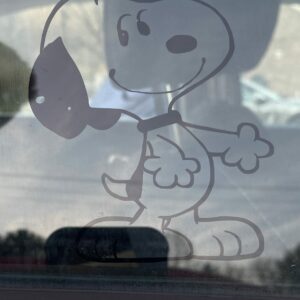 Snoopy Vinyl