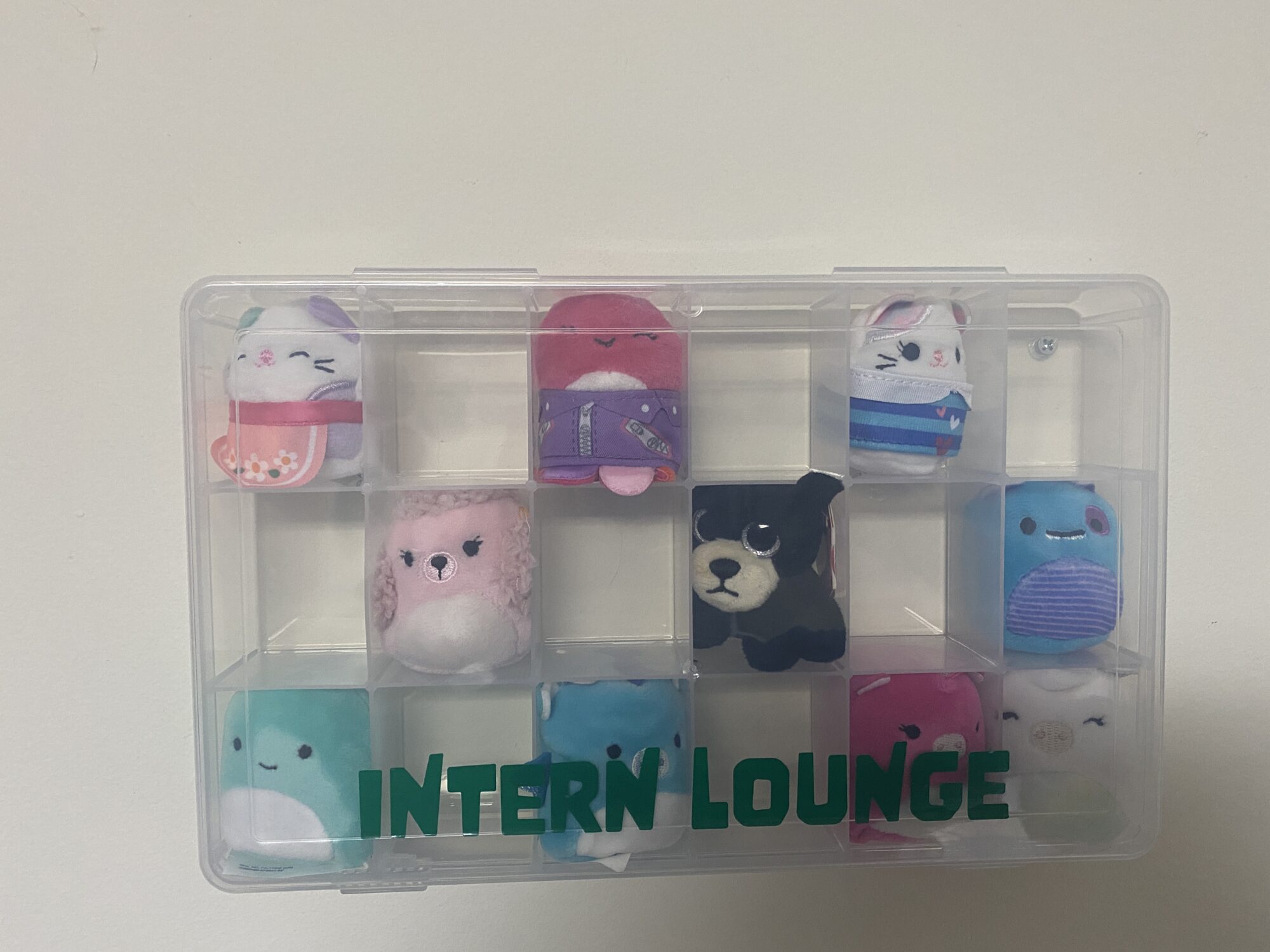 Interns Lounge - The interns, Squishville and Surprizanimals, now have their own lounge mounted to the wall. #Squishville #Surprizanimals 