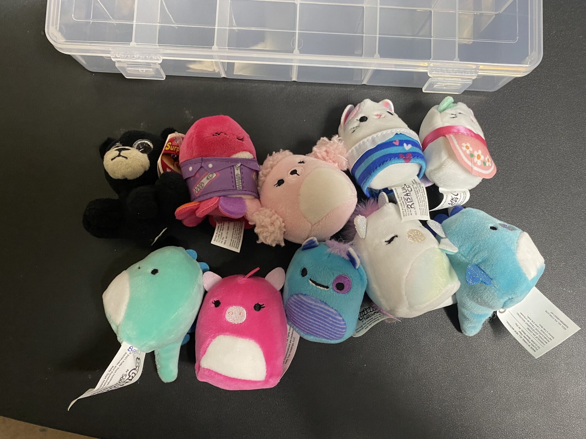 Interns at Steve Sews 