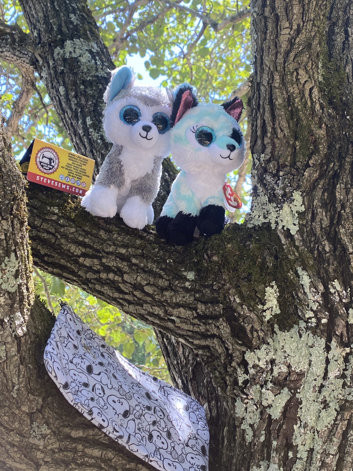 Meet Slush and Atlas (our lovees) Ty Beanie Boos