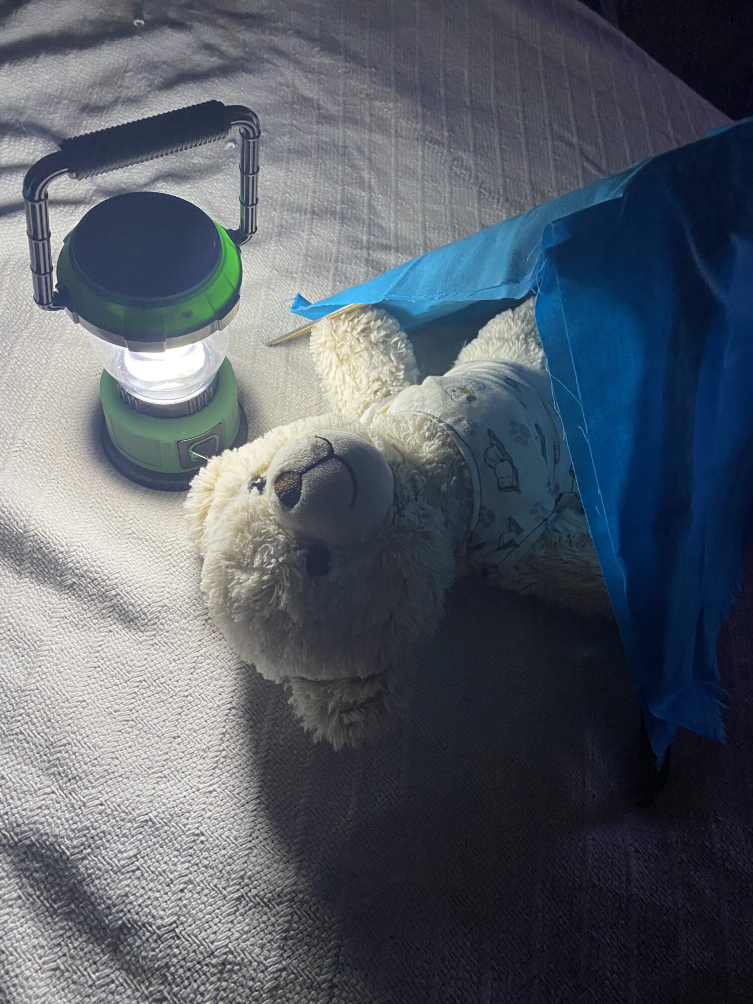 Mariam Esther used rulers to make a frame and then covered it with fabric to make a tent at Camp Lovee. 