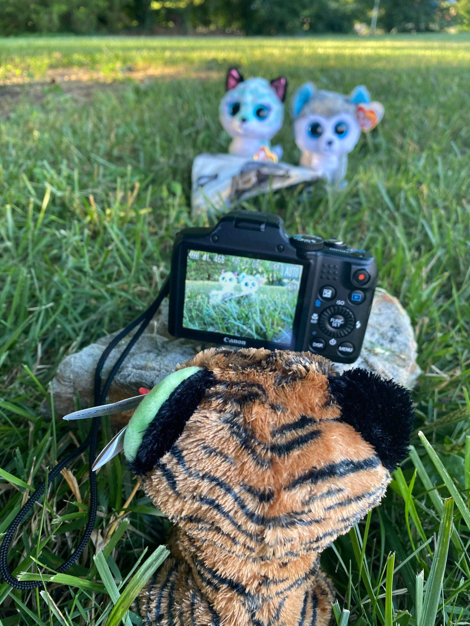 Tiggy celebrated National Camera Day taking a photo of Atlas & Slush at Camp Lovee #cameraday #nationalcameraday #tybeanieboos #camera #camp #camplovee #photography 
Camera Zipper Pouch #Camera #Cameras #AntiqueCamera #VintageCamera