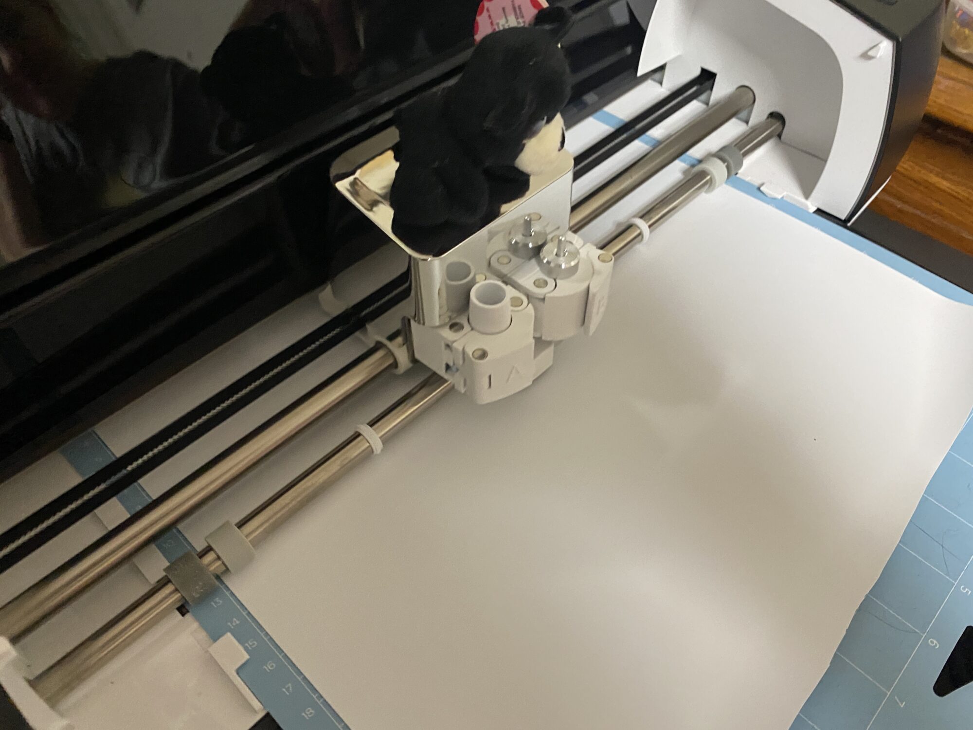 Barrie Grizzly Bear is helping to make a shirt for Steve Sews using HTV. #Surprizamals
#htv #cricut