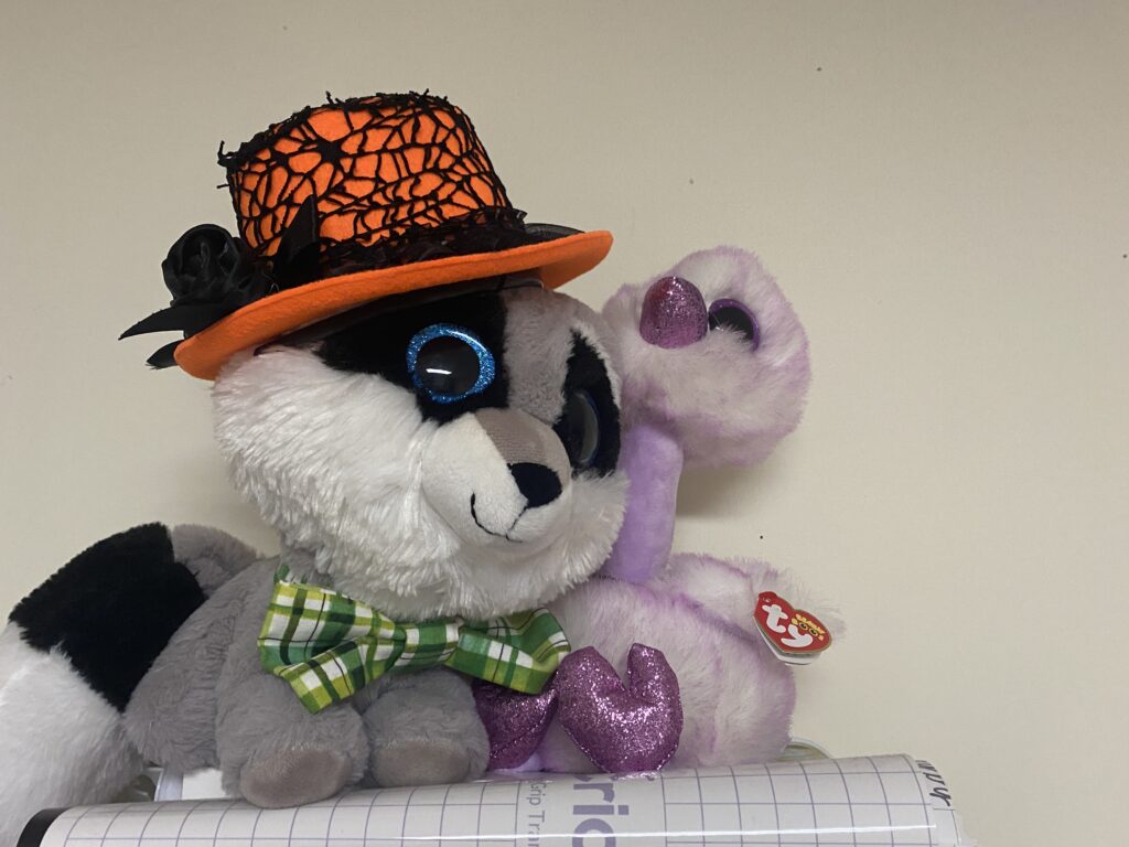 These two stand on top of my vinyl holder since they are too big for the shoe holder organizer 